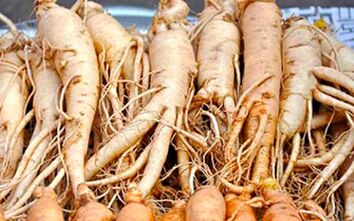 Ginseng root will help stimulate a man's sexual activity. 