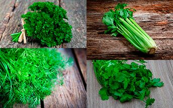 Parsley, celery, dill and coriander should be introduced in a man's diet to increase potency. 