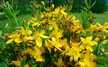 St. John's wort is an effective aphrodisiac and natural antidepressant for men. 